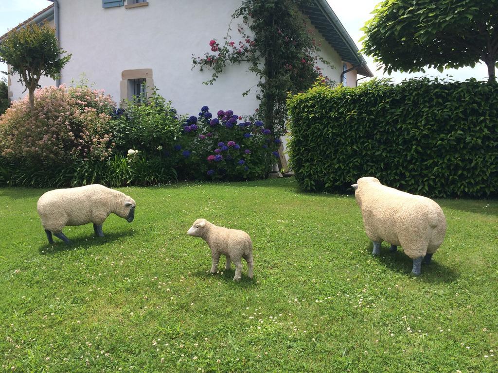 Les Volets Bleus Bed & Breakfast Arcangues Exterior foto