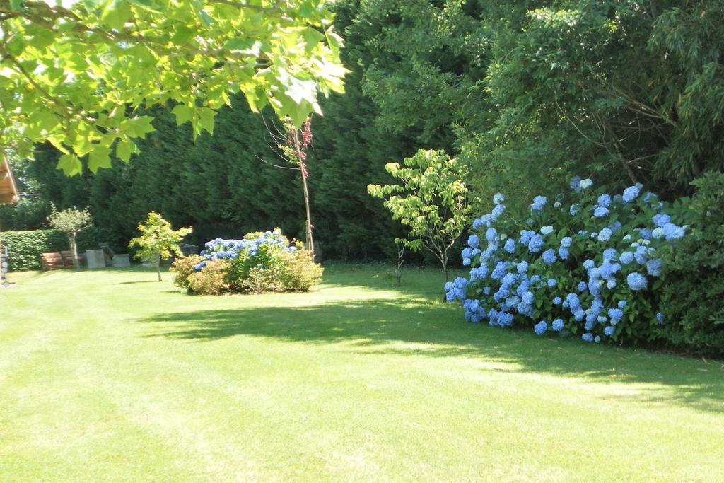Les Volets Bleus Bed & Breakfast Arcangues Exterior foto